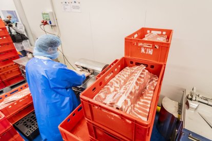 Las nuevas instalaciones se ubican en el PEMA de Garray