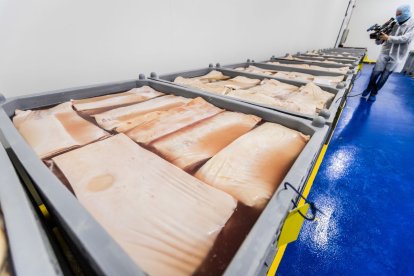 Las nuevas instalaciones se ubican en el PEMA de Garray