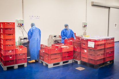 Las nuevas instalaciones se ubican en el PEMA de Garray