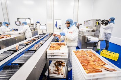 Las nuevas instalaciones se ubican en el PEMA de Garray