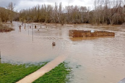 Duero a su paso por Garray esta mañana.