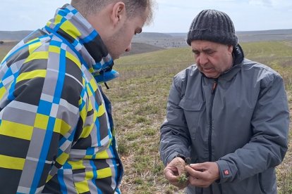 Son ocho los jóvenes que participan en la formación práctica en Soria gracias al Programa Cultiva.