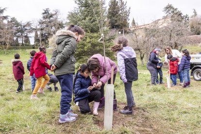 Los niños de La Arboleda plantan olmos en el Castillo.