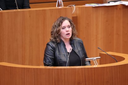 La procuradora socialista por Soria, Judith Villar.