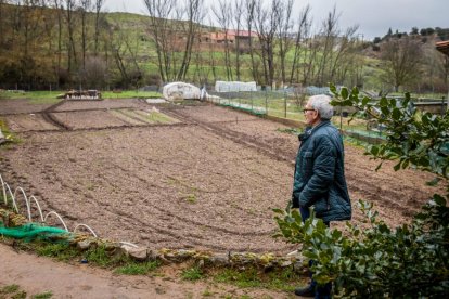 La finca se encuentra muy cuidada, pero hay que mantenerla.