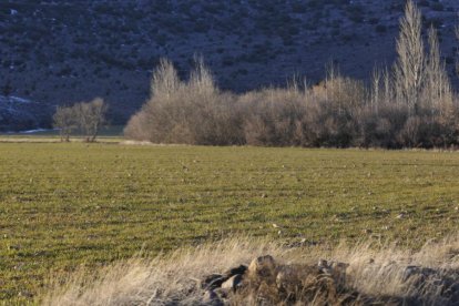 Terreno rústico en Soria.