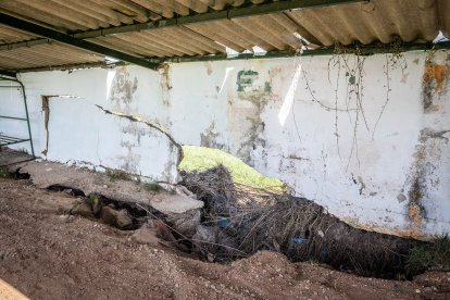 Daños en el campo de fútbol de Garray.
