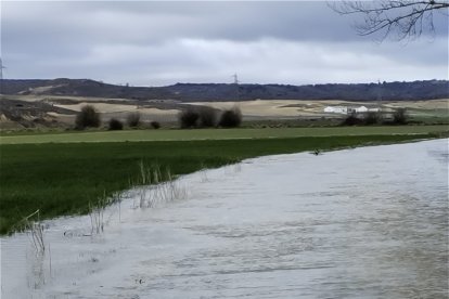 Parcelas anegadas en el campo soriano el pasado mes de marzo.