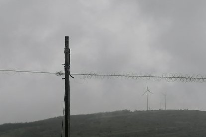 Aspecto del cable pelado tras el robo.