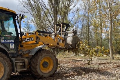 Maquinaria pesada en la zona que se está desbrozando para construir el puente provisional.