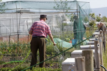 Trabajos en los huertos municipales, en una imagen de archivo.