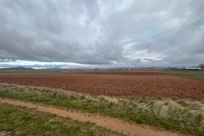Florette esta campaña cultivará en Soria en Olmillos y también en Hinojosa del Campo, estrenando regadío.