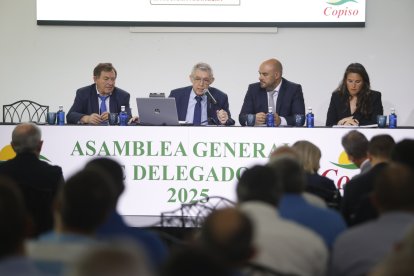 Asamblea general de Copiso en el hotel San Francisco de Soria.