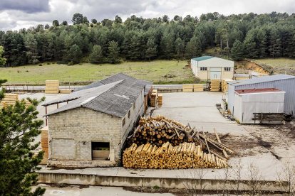 Los aprovechamientos maderables totales en montes de utilidad pública supusieron un total de 274.261 metros cúbicos.