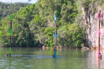 Imagen de la prueba de los 'palos borrachos'.
