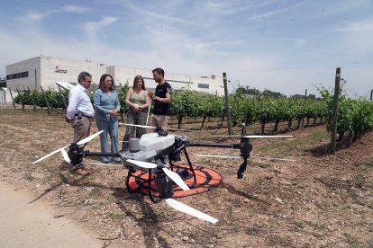 La consejera de Agricultura, Ganadería y Desarrollo Rural, María González Corral, visita Demoviña 2025.
