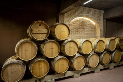 Las empresas vitivinícolas pueden optar a esta línea de ayudas.