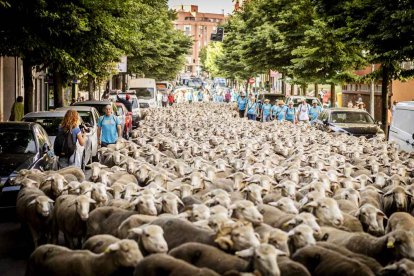 Cientos de ovejas recorren el centro de la capital