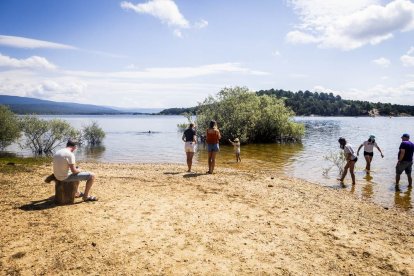 Una mañana perfecta para nadar en el pantano