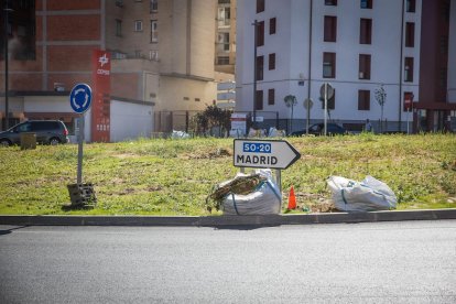 Sacos con estramonio ya retirado este lunes en la rotonda de la estación de autobuses.