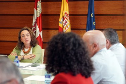 La consejera de Agricultura, Ganadería y Desarrollo Rural, María González Corral, preside la reunión del Consejo Agrario de Castilla y León.