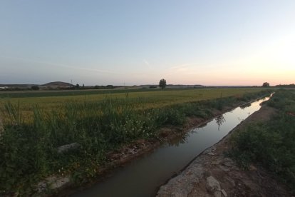 Imagen del canal de Ines.