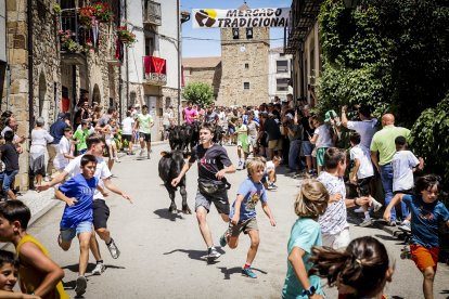 Almarza celebra su XXII Mercado Tradicional con éxito de participantes y de público.