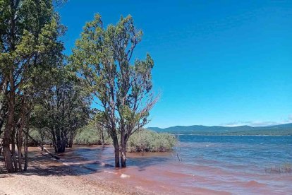 La mañana era fresca y hacía viento en el lugar