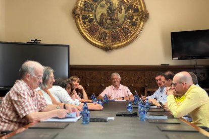 Miembros de la Comisión de Planes de la Diputación de Soria.