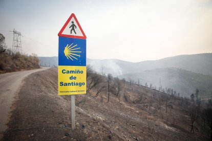 Zona calcinada tras el paso del incendio forestal, a 17 de agosto de 2025, en Quiroga, Lugo.