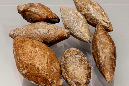 Glandes de plomo procedentes de Numancia en la exposición permanente del Museo Numantino de Soria.