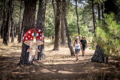 Una zona del Monte Valonsadero donde disfrutar a escasos minutos de la ciudad