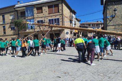 Los mozos de Duruelo pingando el mayo.