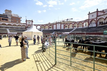 Numerosas personas pasaron este sábado por la plaza de toros de la capital.