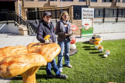 Las piezas son obras de Santiago González