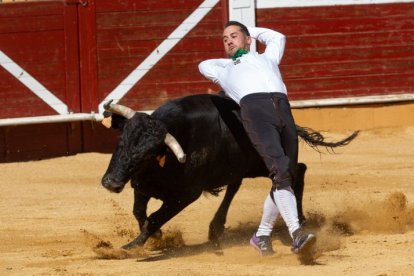 Un recortador en plena acción.