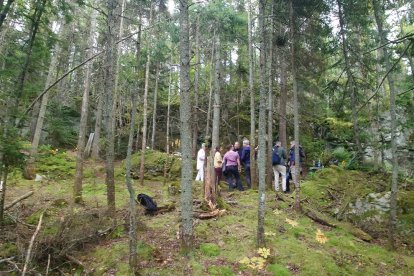 El territorio canadiense Kamouraska Mycologique, primero en incorporarse del continente americano a la Red Fungi Friendly Forest.