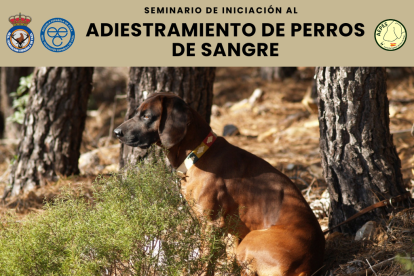 El seminario tendrá lugar a finales de este mes.