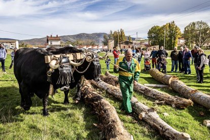 Feria ganadera de Borobia en una imagen de archivo.
