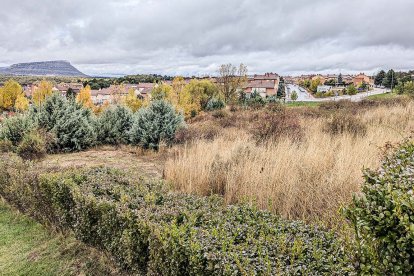 Terrenos donde se construirán las viviendas públicas para jóvenes en Camaretas.