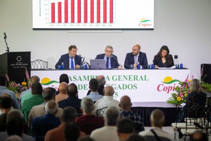 El hotel San Francisco de Soria acogió la última asamblea general de delegados de Copiso.