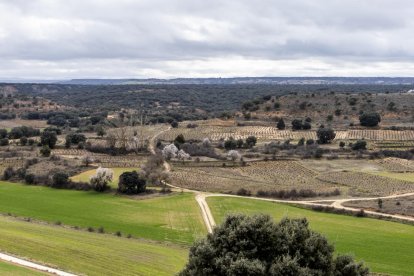 Parcelas de rústica en la provincia de Soria.