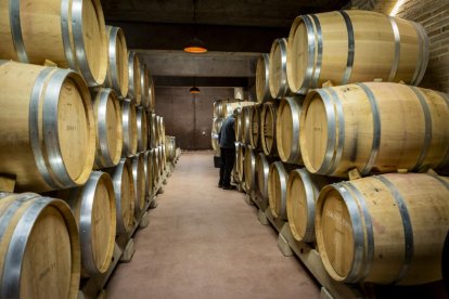 Cubas de la prestigiosa bodega soriana.
