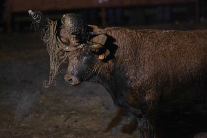El Toro Jubilo con las bolas ya apagadas.