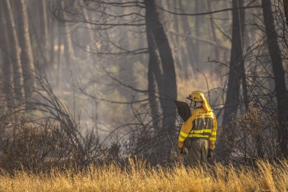 Un bombero forestal con su batefuegos vigila el escenario de un incendio.