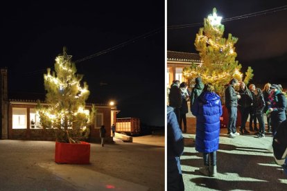 Encendido del árbol navideño en Carbonera de Frentes, un momento comunitario que marca el inicio de unas fiestas cargadas de cercanía y tradición.