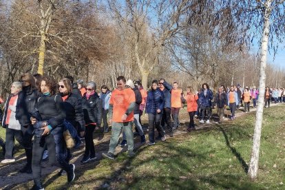 Marcha contra el Cáncer en El Burgo de Osma