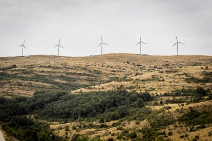 Parque eólico en la provincia de Soria.