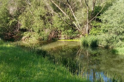 nacimiento del río ucero