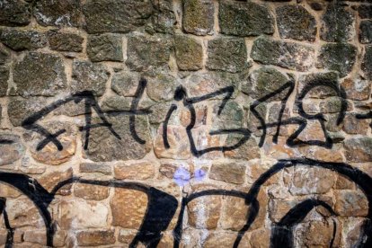 Nuevas pintadas se suman al deterioro de la zona